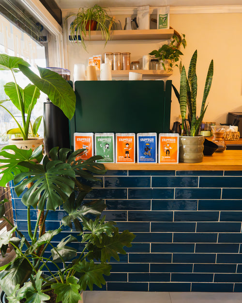 Barra de la cafetería con las bolsas de café de la Familia